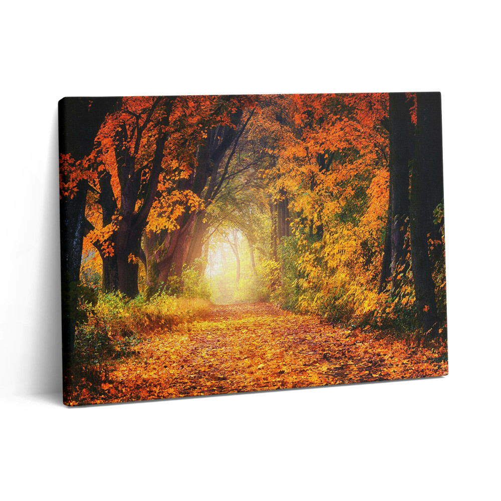 Pictură pe pânză 80x60 Tunelul Pădurii cu Frunze de Toamnă