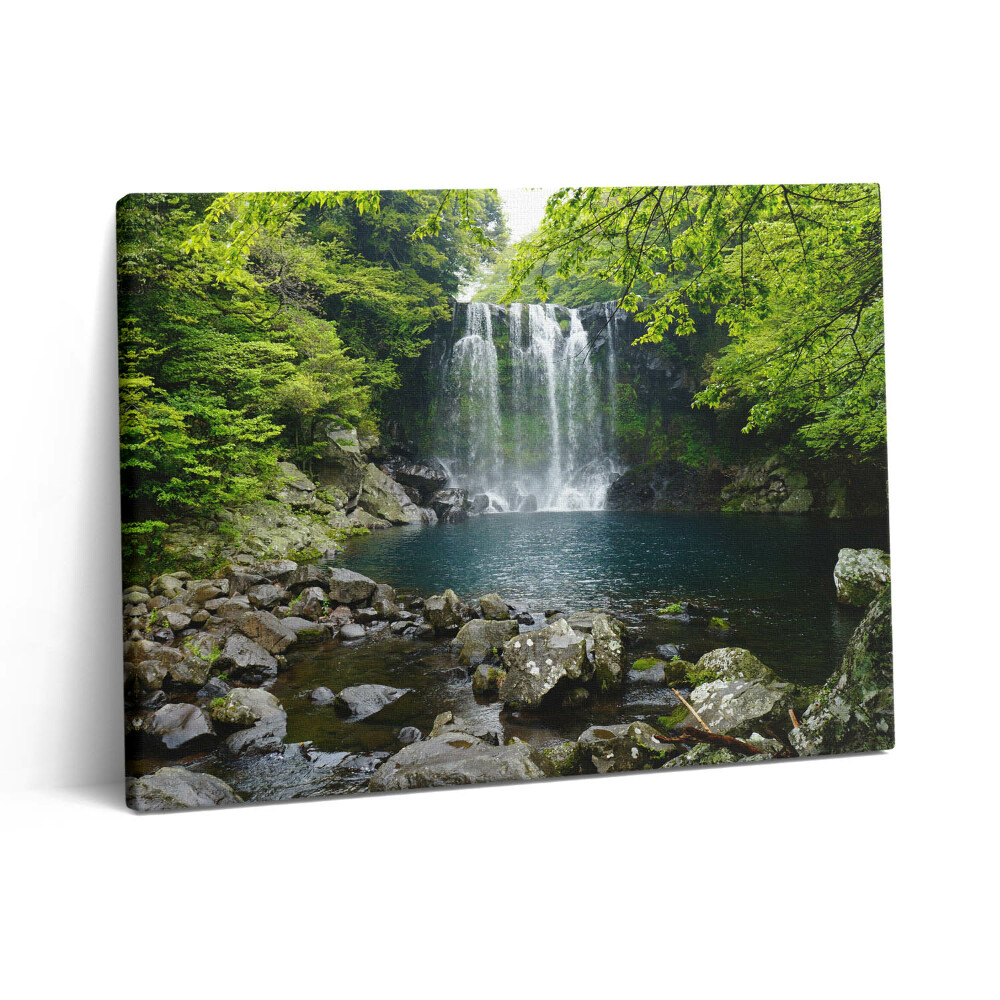 Pictură pe pânză 80x60 Cascadă și râu printre copaci