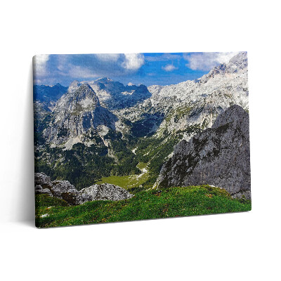 Pictură pe pânză 80x60 Peisajul Munților Stâncoși