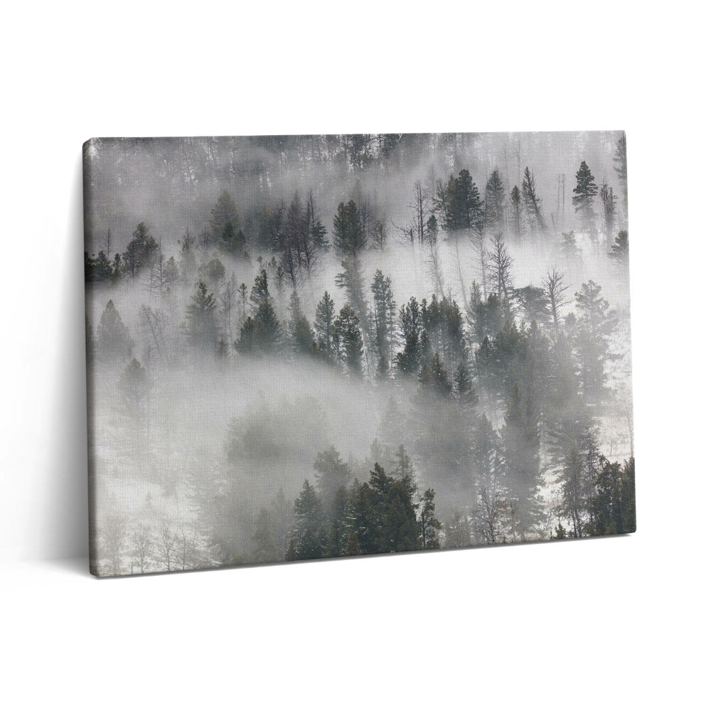 Pictură pe pânză 80x60 Peisaj de pădure încețoșată