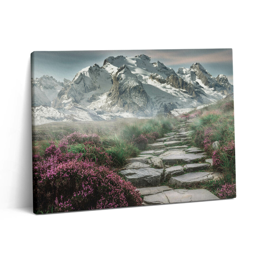 Pictură pe pânză 80x60 Un drum de piatră în munți