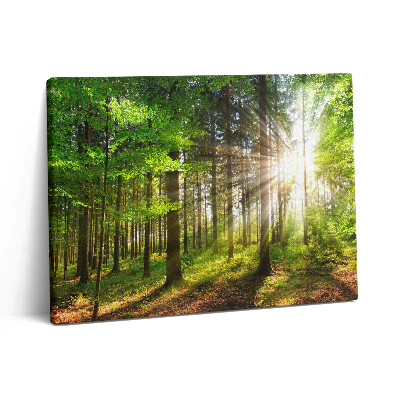 Pictură pe pânză 80x60 Pădure și răsărit de soare