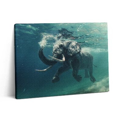 Pictură pe pânză 80x60 Elefant african în apă