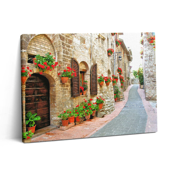Pictură pe pânză 80x60 O stradă pitorească cu flori