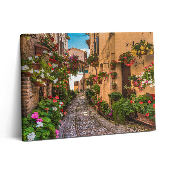 Pictură pe pânză 80x60 Strada Florilor din Umbria