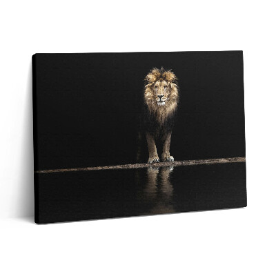 Pictură pe pânză 80x60 Leu singuratic, animal sălbatic