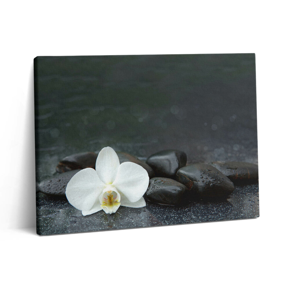 Pictură pe pânză 80x60 Pietre Zen cu flori albe