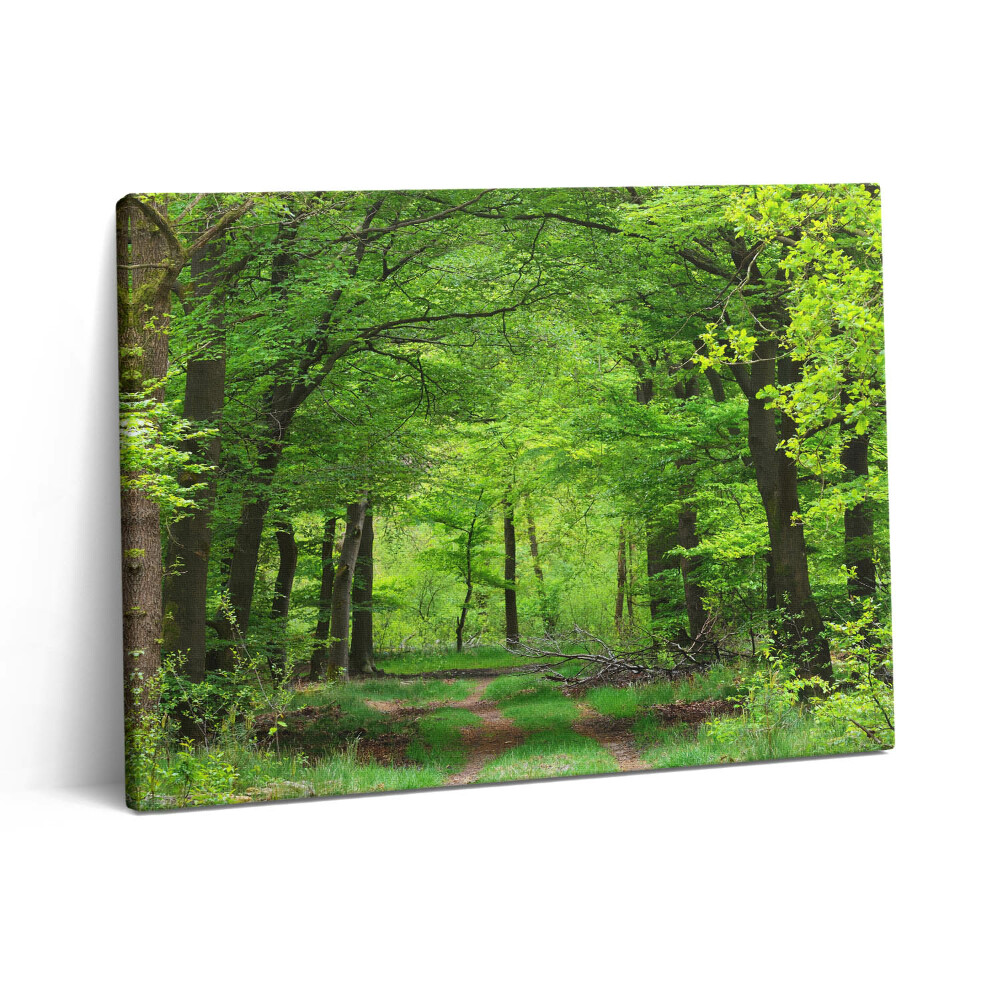 Pictură pe pânză 80x60 Drum forestier sub copaci