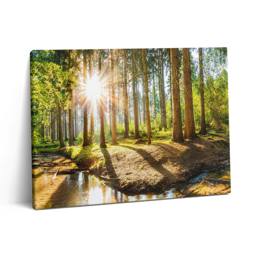 Pictură pe pânză 80x60 Soarele din spatele copacilor din pădure