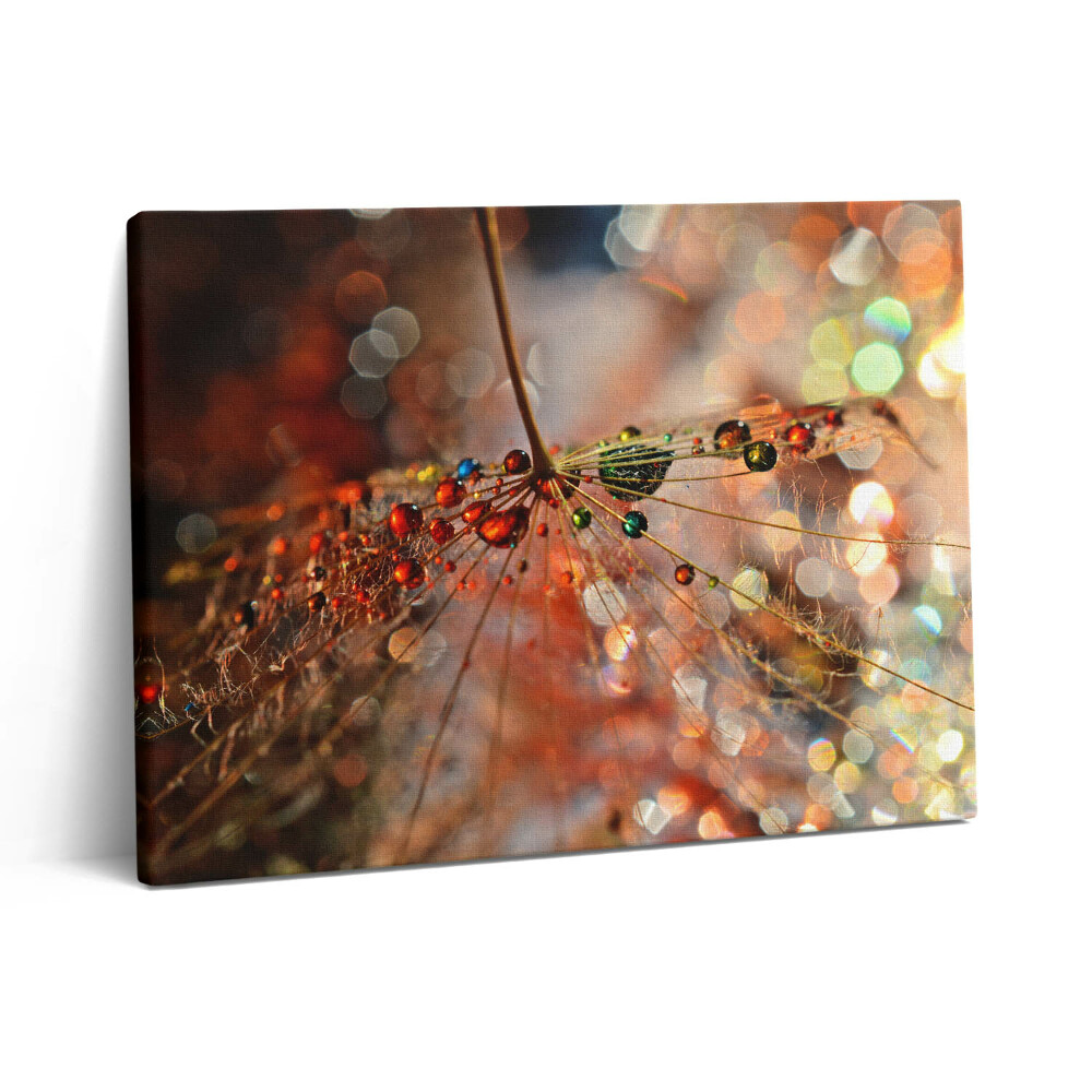 Pictură pe pânză 80x60 Păpădie și rouă