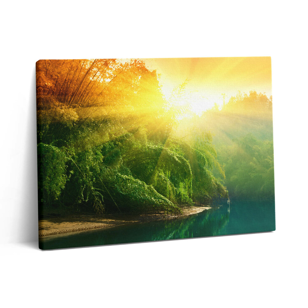 Pictură pe pânză 80x60 Peisaj natural la soare