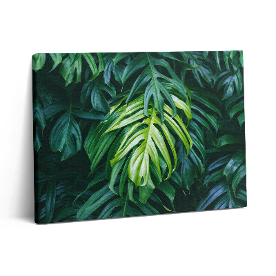 Pictură pe pânză 80x60 Natură tropicală - frunze de monstera