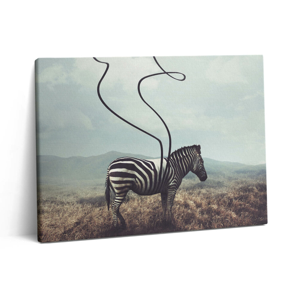 Pictură pe pânză 80x60 Ilustrație cu dungi zebră