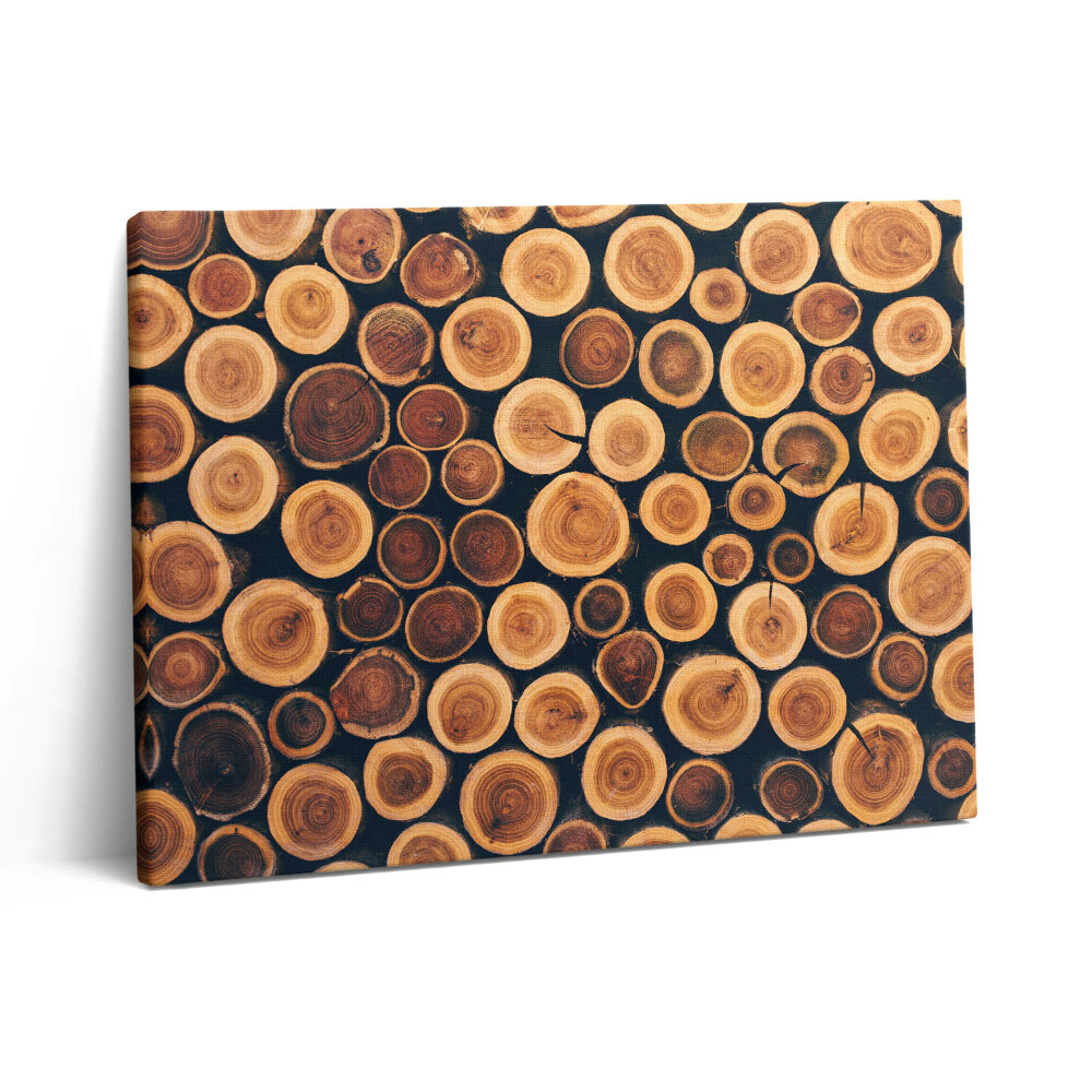 Pictură pe pânză 80x60 Trunchiuri de copaci din lemn