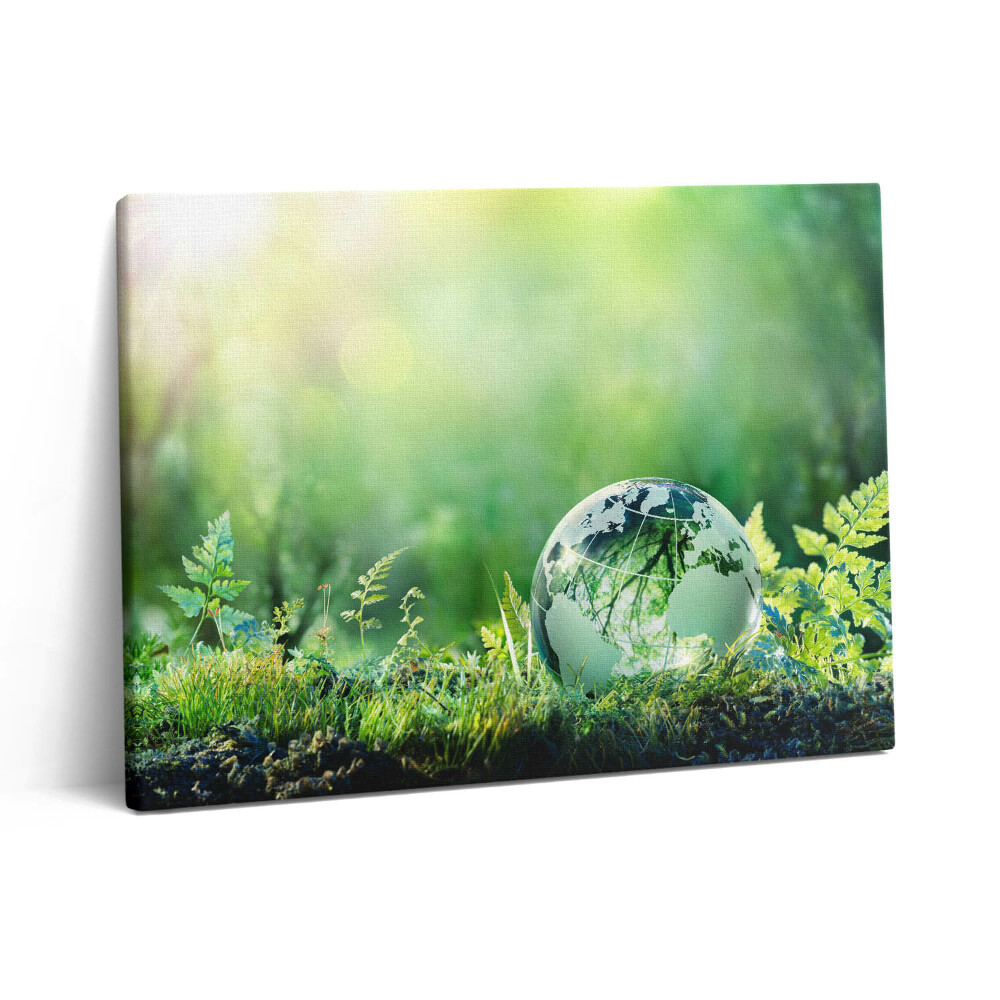 Pictură pe pânză 80x60 Glob pe iarbă