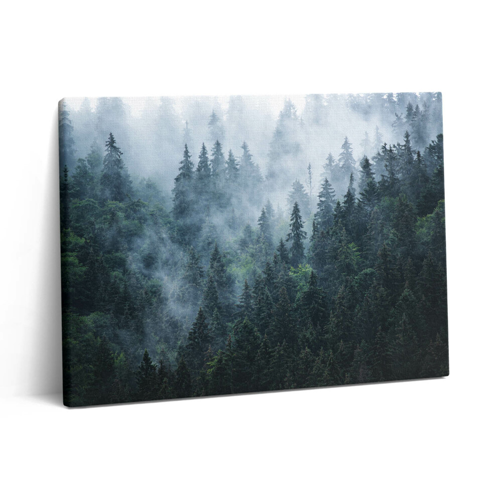 Pictură pe pânză 80x60 Peisaj montan încețoșat