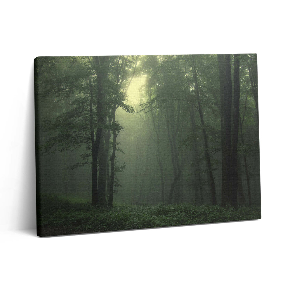 Pictură pe pânză 80x60 Pădurea încețoșată dimineața