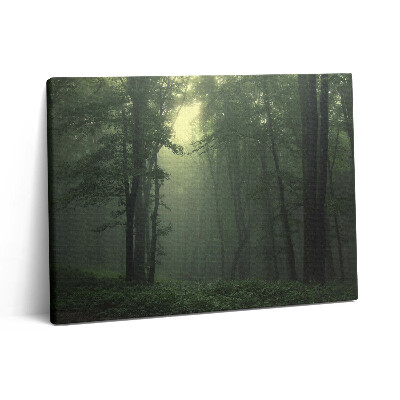 Pictură pe pânză 80x60 Pădurea încețoșată dimineața