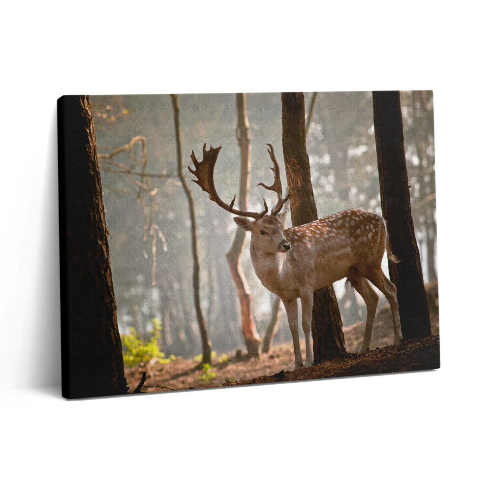 Pictură pe pânză 80x60 Cerbi în strălucirea soarelui care răsare