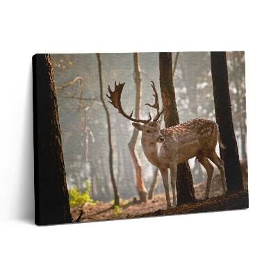 Pictură pe pânză 80x60 Cerbi în strălucirea soarelui care răsare