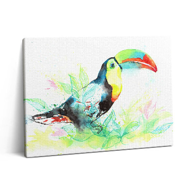Pictură pe pânză 80x60 Toucan iarbă acuarelă