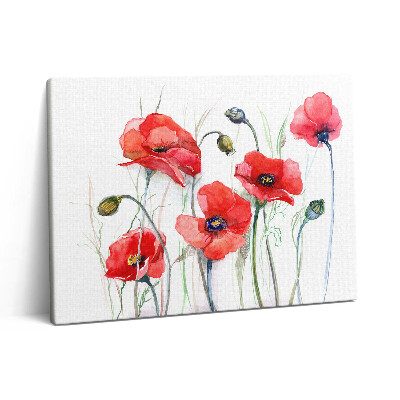 Pictură pe pânză 80x60 Arta picturii - Maci roșii