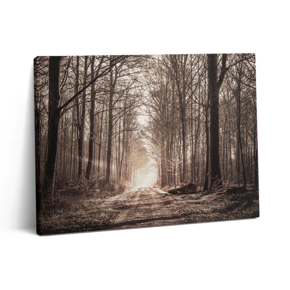 Pictură pe pânză 80x60 Cale de pădure în tonuri sepia