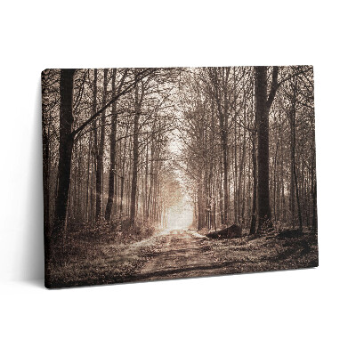 Pictură pe pânză 80x60 Cale de pădure în tonuri sepia