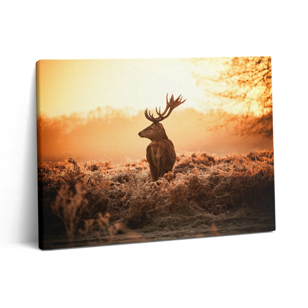 Pictură pe pânză 80x60 Cerb la răsărit