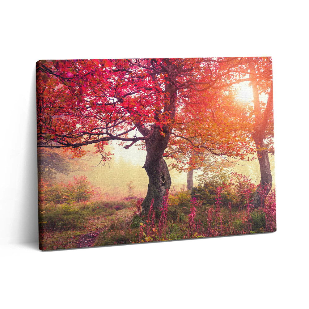 Pictură pe pânză 80x60 Copaci de toamnă