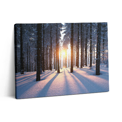 Pictură pe pânză 80x60 Apus de soare și pădure iarna