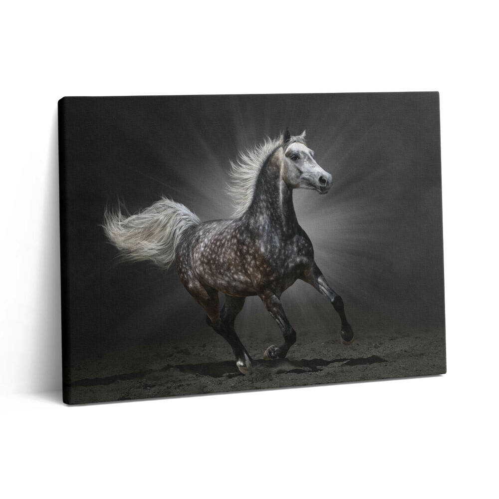 Pictură pe pânză 80x60 Calul galopant