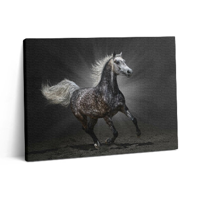 Pictură pe pânză 80x60 Calul galopant