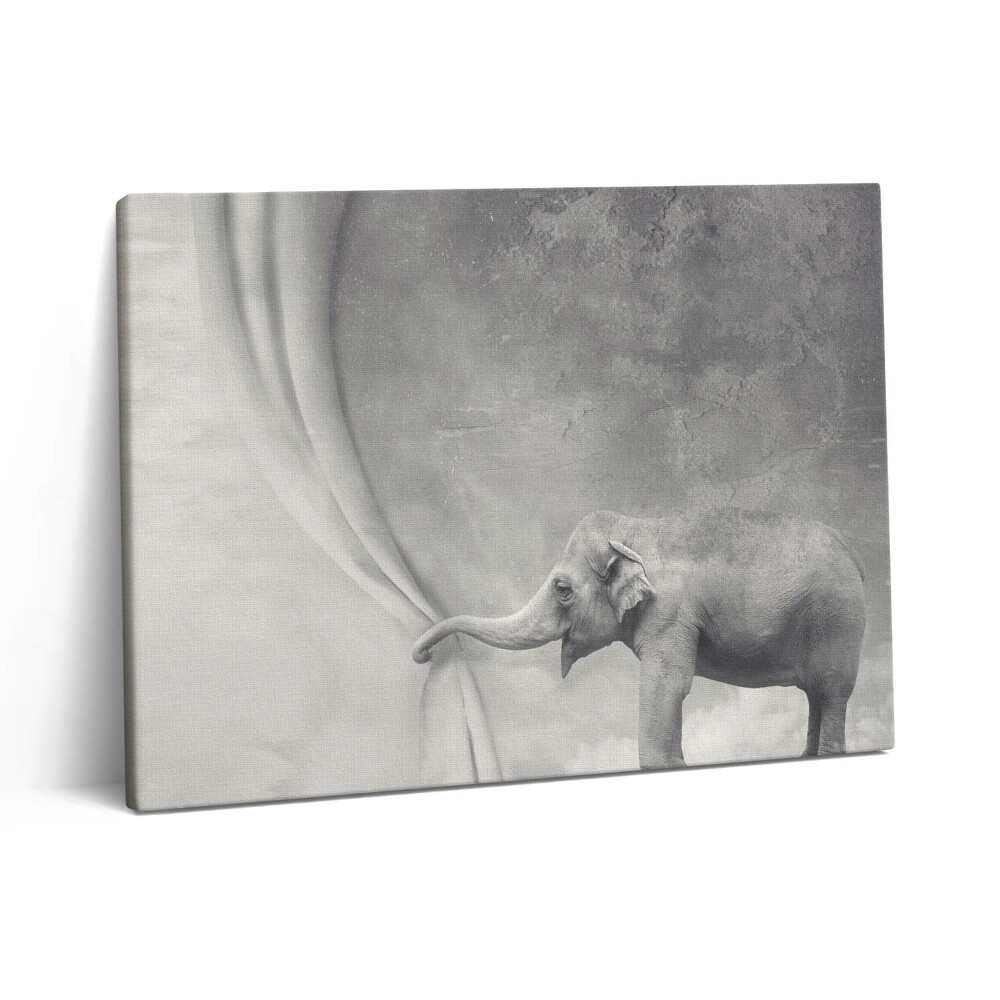 Pictură pe pânză 80x60 Elefantul din spatele cortinei
