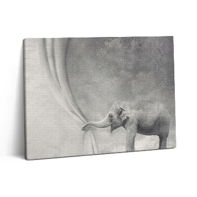 Pictură pe pânză 80x60 Elefantul din spatele cortinei