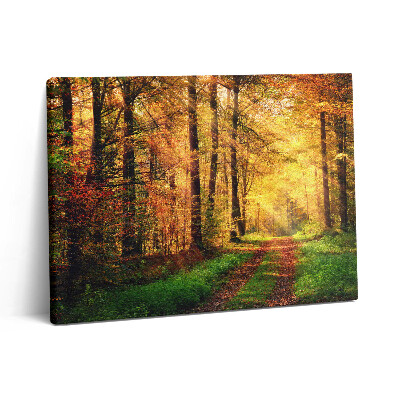 Pictură pe pânză 80x60 Peisaj de pădure de toamnă