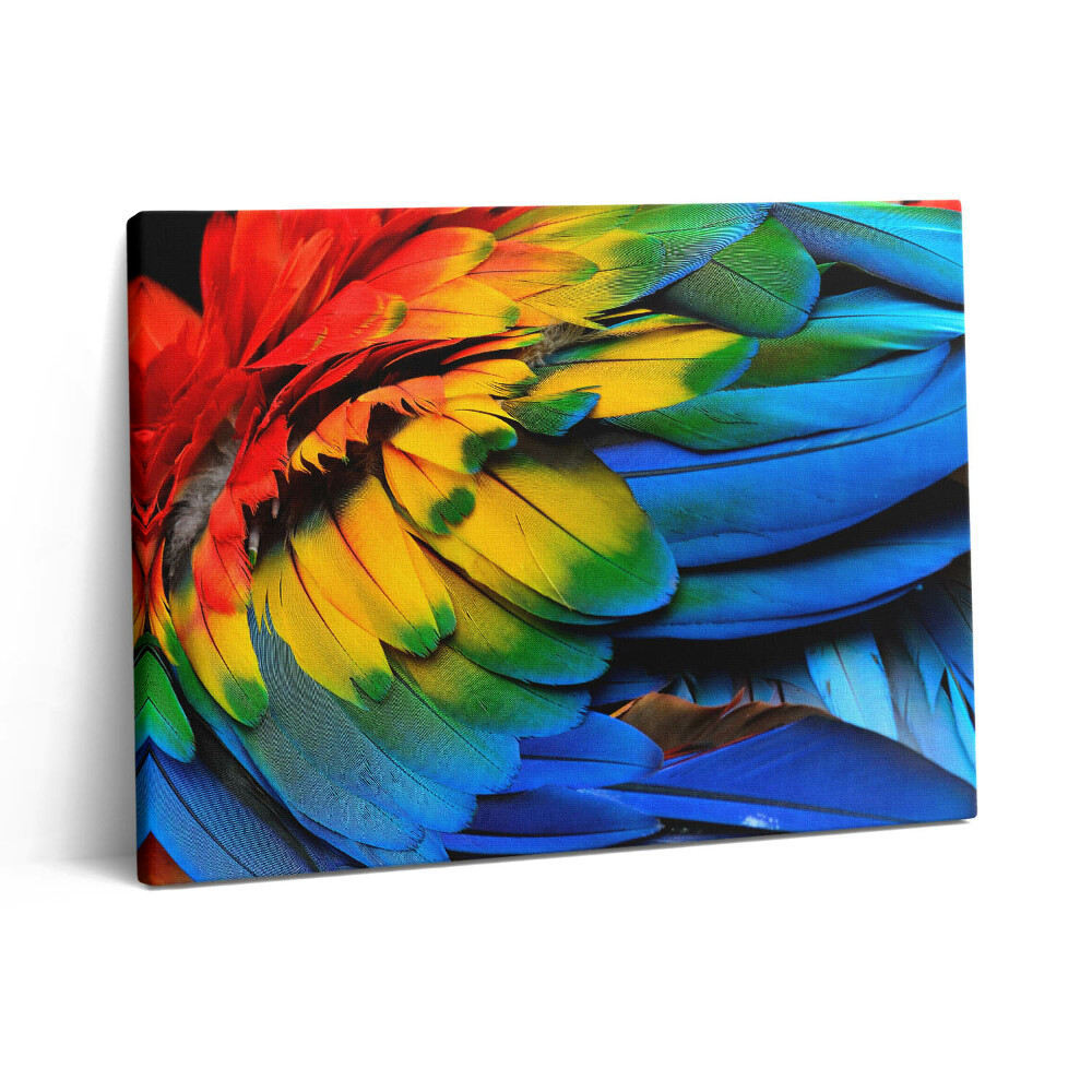 Pictură pe pânză 80x60 Aripi colorate ale unui papagal macaw