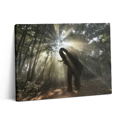 Pictură pe pânză 80x60 Elefantul în junglă
