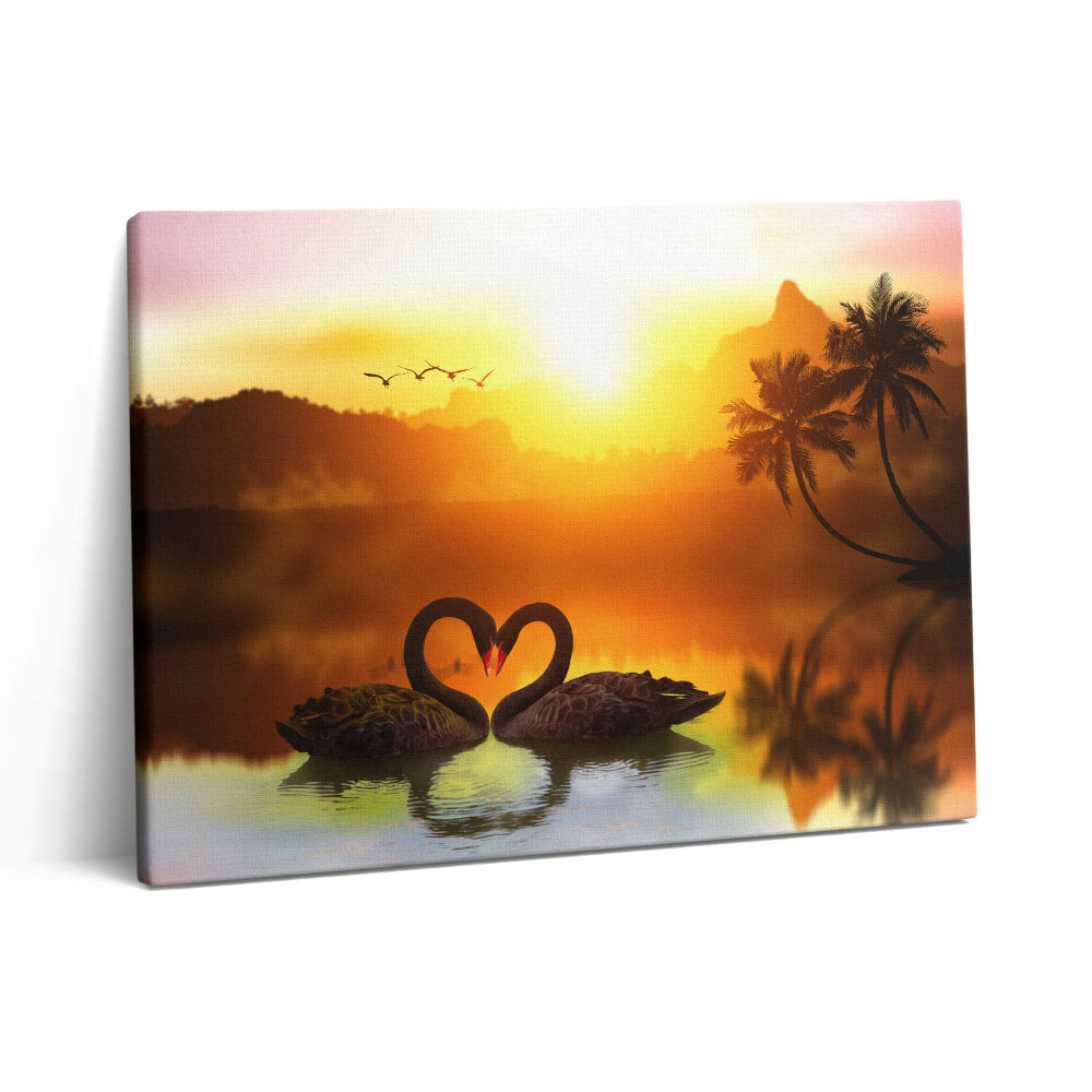 Pictură pe pânză 80x60 Frumoasă lebădă neagră pe lac