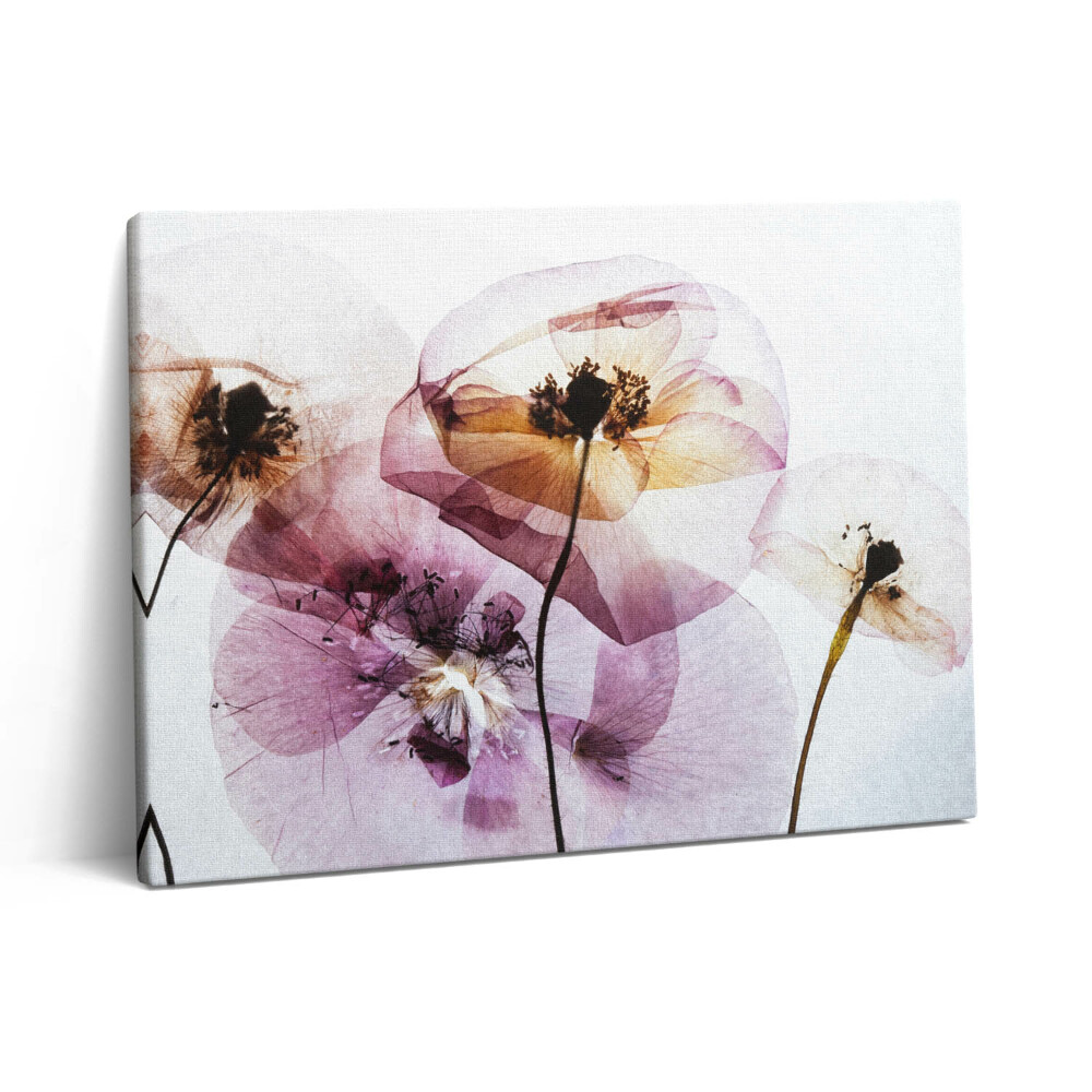 Pictură pe pânză 80x60 Flori de mac uscate