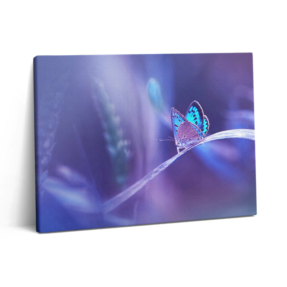 Pictură pe pânză 80x60 Fluture pe iarbă