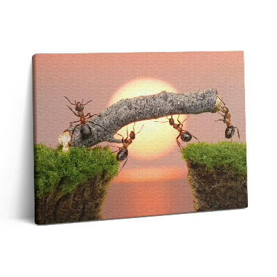 Pictură pe pânză 80x60 Furnici pe un trunchi de copac