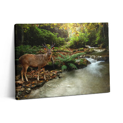 Pictură pe pânză 80x60 Pârâu tropical și cerbi