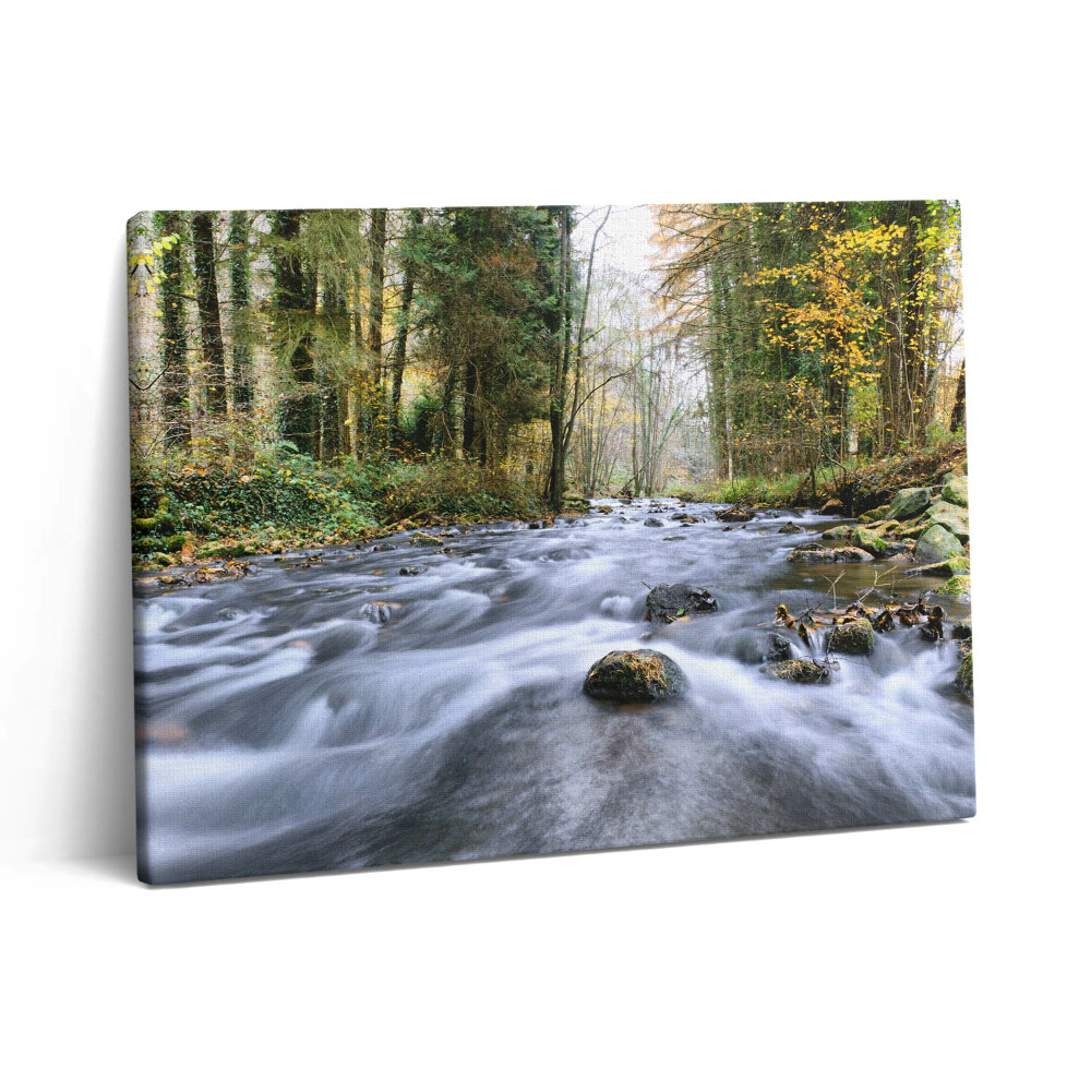 Pictură pe pânză 80x60 Pârâu de munte