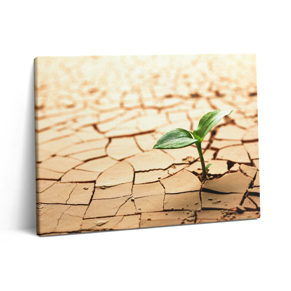 Pictură pe pânză 80x60 Plantați în sol uscat