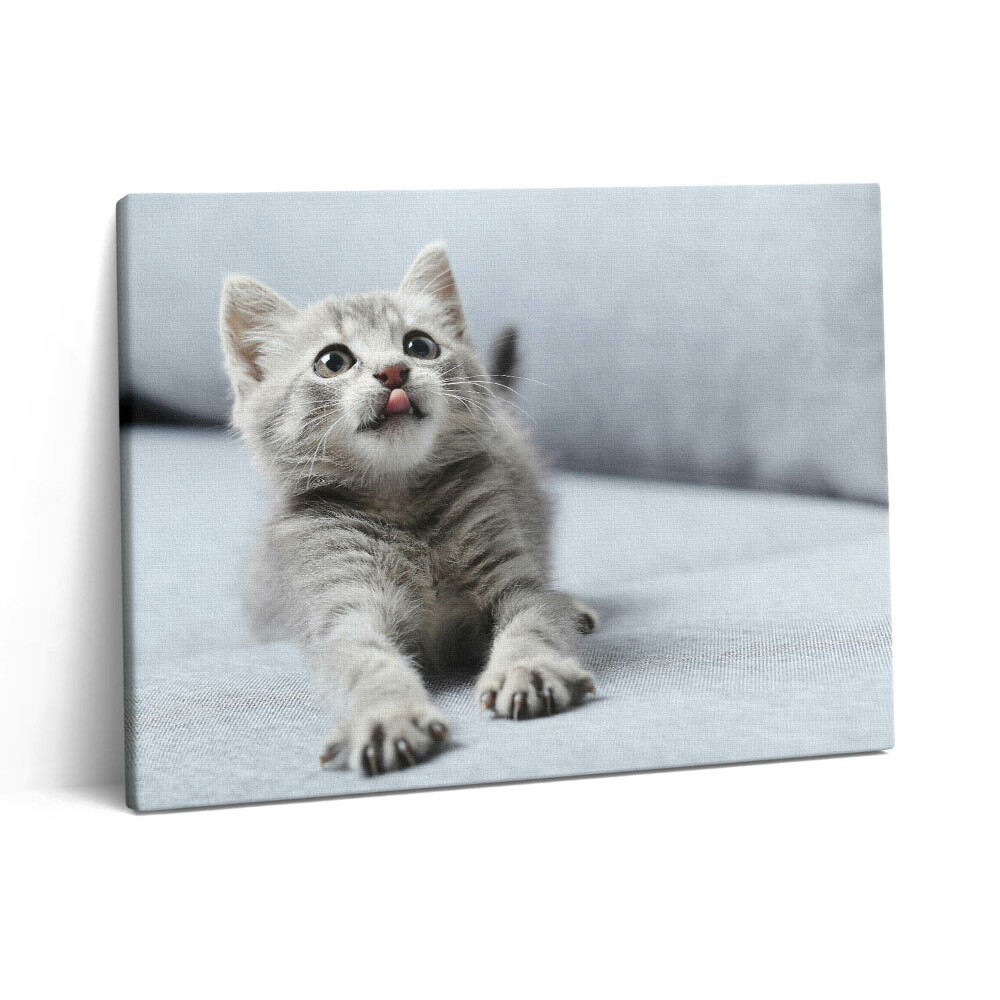 Pictură pe pânză 80x60 Pisicuță drăguță pe canapea
