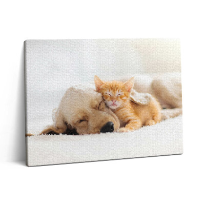 Pictură pe pânză 80x60 Animale care dorm, pisică și câine