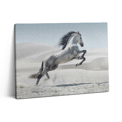 Pictură pe pânză 80x60 Cal alb galopant