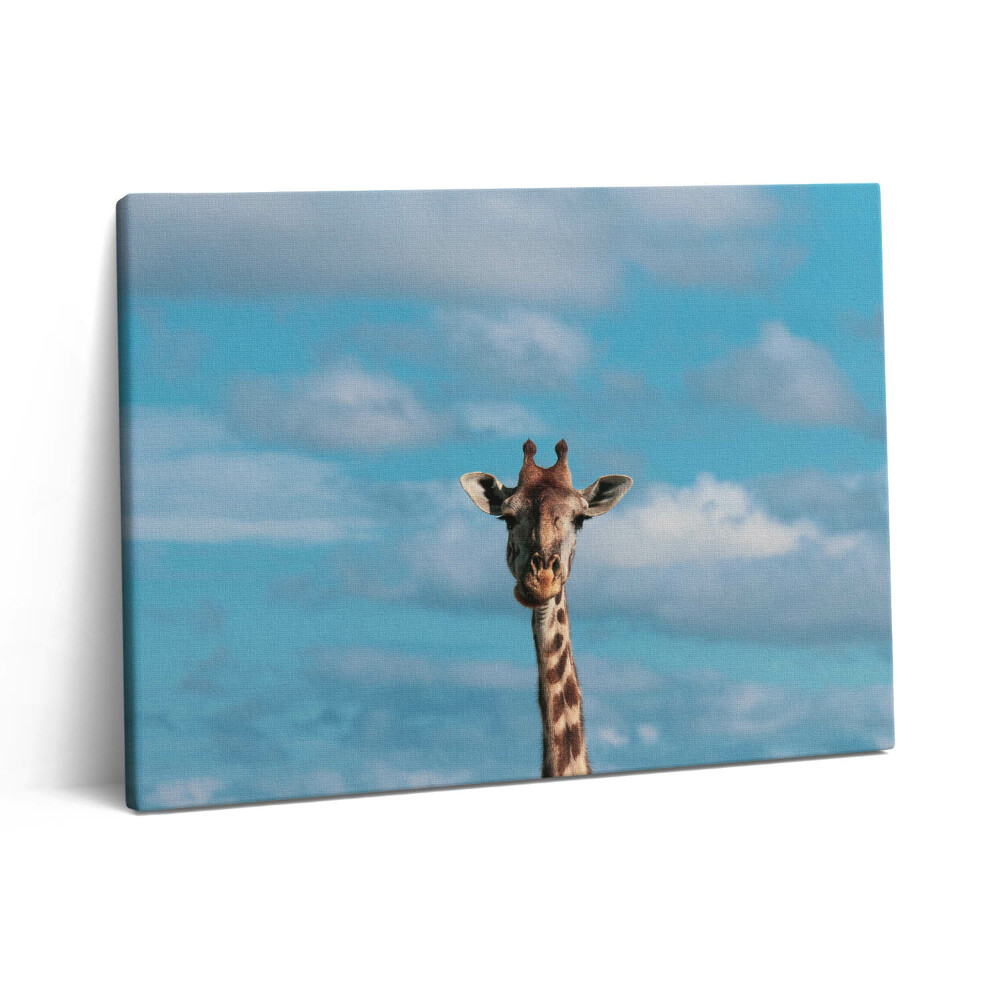 Pictură pe pânză 80x60 Cap de girafă pe cer