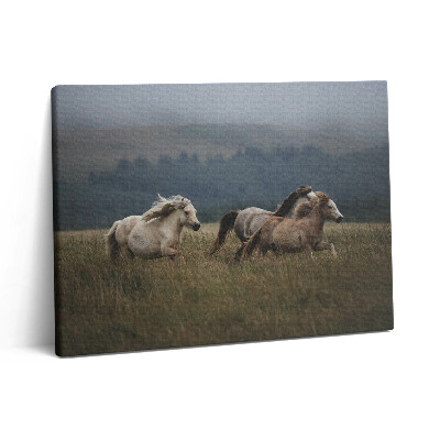 Pictură pe pânză 80x60 Caii galopând în sus